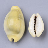 Natural Cowrie Shell Beads SSHEL-N034-B-26-3