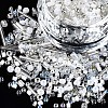 FGB Glass Seed Beads SEED-S056-001-1