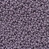 MIYUKI Round Rocailles Beads SEED-JP0008-RR0437-3