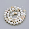 Natural Fire Crackle Agate Beads Strands X-G-S249-09-8mm-2