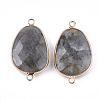 Natural Labradorite Links connectors G-S344-71A-2
