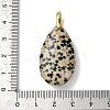 Natural Dalmatian Jasper Pendants G-B188-01G-04-3