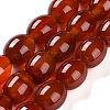 Natural Carnelian Beads Strands G-NH0019-C01-02-1