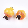 Resin Pendants X-RESI-T028-49-3