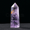 Tower Natural Amethyst Display Decoration WG83739-03-1