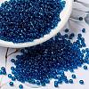 MIYUKI Round Rocailles Beads X-SEED-G008-RR0149-1