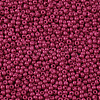 11/0 FGB Grade A Baking Paint Glass Seed Beads X-SEED-N001-A-1058-2