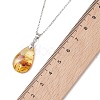 Natural Amber Teardrop Pendant 304 Stainless Steel Cable Chain Necklaces NJEW-JN05983-02-5