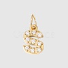 Stainless Steel Cubic Zirconia Pendants with Jump Rings FIND-PW0024-08S-1