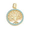 Brass Rhinestone Pendants RB-CBACCCF-04G-1