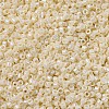 MIYUKI Delica Beads SEED-MY11-DB0157-2