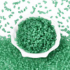 FGB Frosted Transparent Glass Seed Beads SEED-N013-05A-09-2