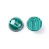 Natural Malachite Cabochons G-E557-06C-1