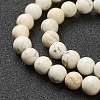 Nrtutal Magnesite Beads Strands G-L575-01C-2