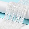 Natural Rainbow Moonstone Beads Strands G-J400-E12-01-1