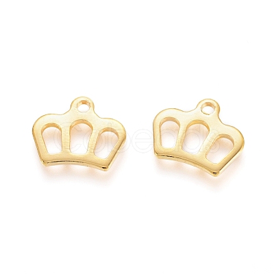 304 Stainless Steel Charms STAS-I123-11G-1