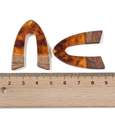Resin & Wood Pendants WOOD-F015-16C-1