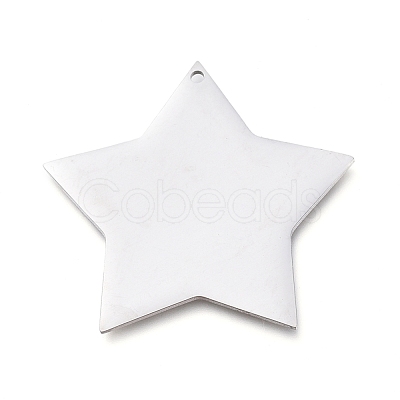 Tarnish Resistant 304 Stainless Steel Pendants STAS-L238-108A-P-1