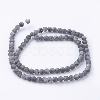 Natural Black Larvikite Bead Strands G-G735-57F-4mm-1