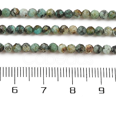 Natural African Turquoise(Jasper) Beads Strands X-G-P472-01-1