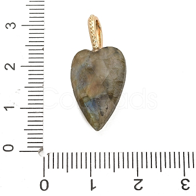 Natural Labradorite Pendants G-C290-01D-1
