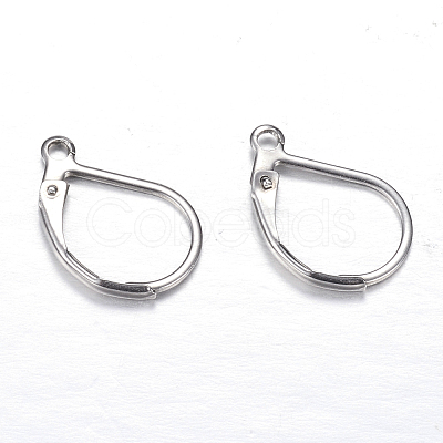 Tarnish Resistant 304 Stainless Steel Leverback Earring Findings X-STAS-M217-03-1