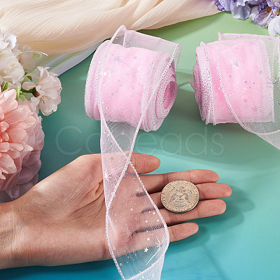 Polyester Deco Mesh Ribbons OCOR-TAC0024-004C-1