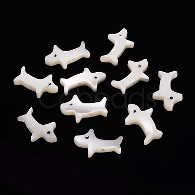 Natural Trochid Shell/Trochus Shell Beads SSHEL-T014-30-1