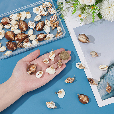 60Pcs 6 Style Natural Shell Pendants PALLOY-ME00019-1