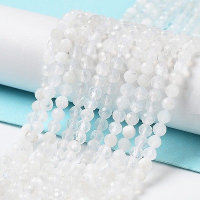 Natural Rainbow Moonstone Beads Strands G-J400-E12-01-1