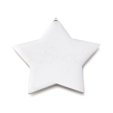 Tarnish Resistant 304 Stainless Steel Pendants STAS-L238-108A-P-1