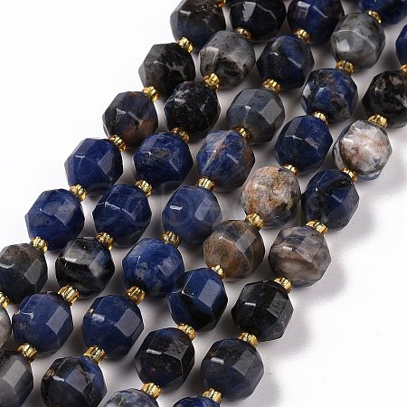 Natural Sodalite Beads Strands with Seed Beads G-G990-E01-1