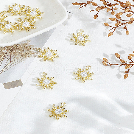 10Pcs Alloy Pendants FIND-LP0005-47-1