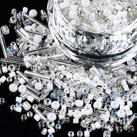 FGB Glass Seed Beads SEED-S056-001-1