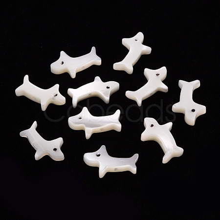 Natural Trochid Shell/Trochus Shell Beads SSHEL-T014-30-1
