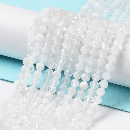 Natural Rainbow Moonstone Beads Strands G-J400-E12-01-1