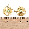 304 Stainless Steel Rhinestone Pendants STAS-Z166-24G-08-3