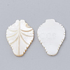 Freshwater Shell Cabochon SHEL-Q020-14B-2