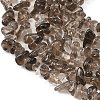 Natural Smoky Quartz Beads Strands G-P622-A01-01-4