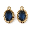 Ion Plating(IP) 304 Stainless Steel Micro Pave Cubic Zirconia Charms STAS-K256-19G-10-1