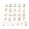 304 Stainless Steel Charms STAS-P141-G-M-1