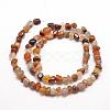 Natural Petrified Wood Beads Strands G-F465-20A-2