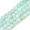 Natural Freshwater Shell Beads Strands X-BSHE-T009A-01D-1