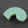 Resin Cabochons LS-CRES-S072-05-2
