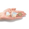 Rough Raw Opalite Beads G-C231-17-5