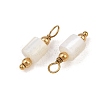 Natural Freshwater Shell Pendants SH-CBA5EEC-14G-2