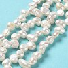 Natural Keshi Pearl Beads Strands PEAR-J007-49-2