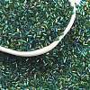 Two Cut Glass Seed Beads CSDB167B-1