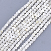Natural White Shell Beads X-SHEL-T012-49B-1