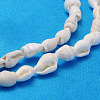 Natural Trumpet Shell Beads Strands S02KI011-3